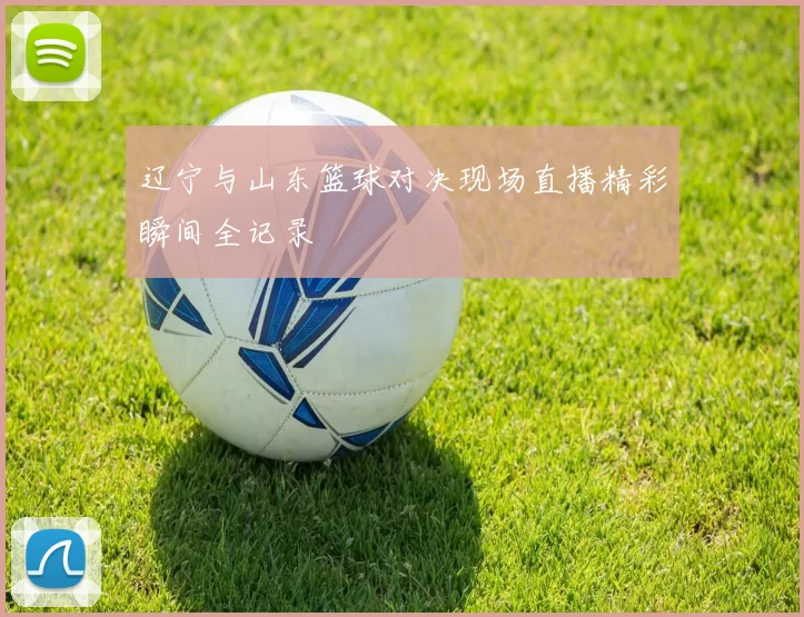 辽宁与山东篮球对决现场直播精彩瞬间全记录